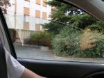 spgm-1.4.7/gal/Galeries/pepete/Poitiers/_thb_spot 13.JPG